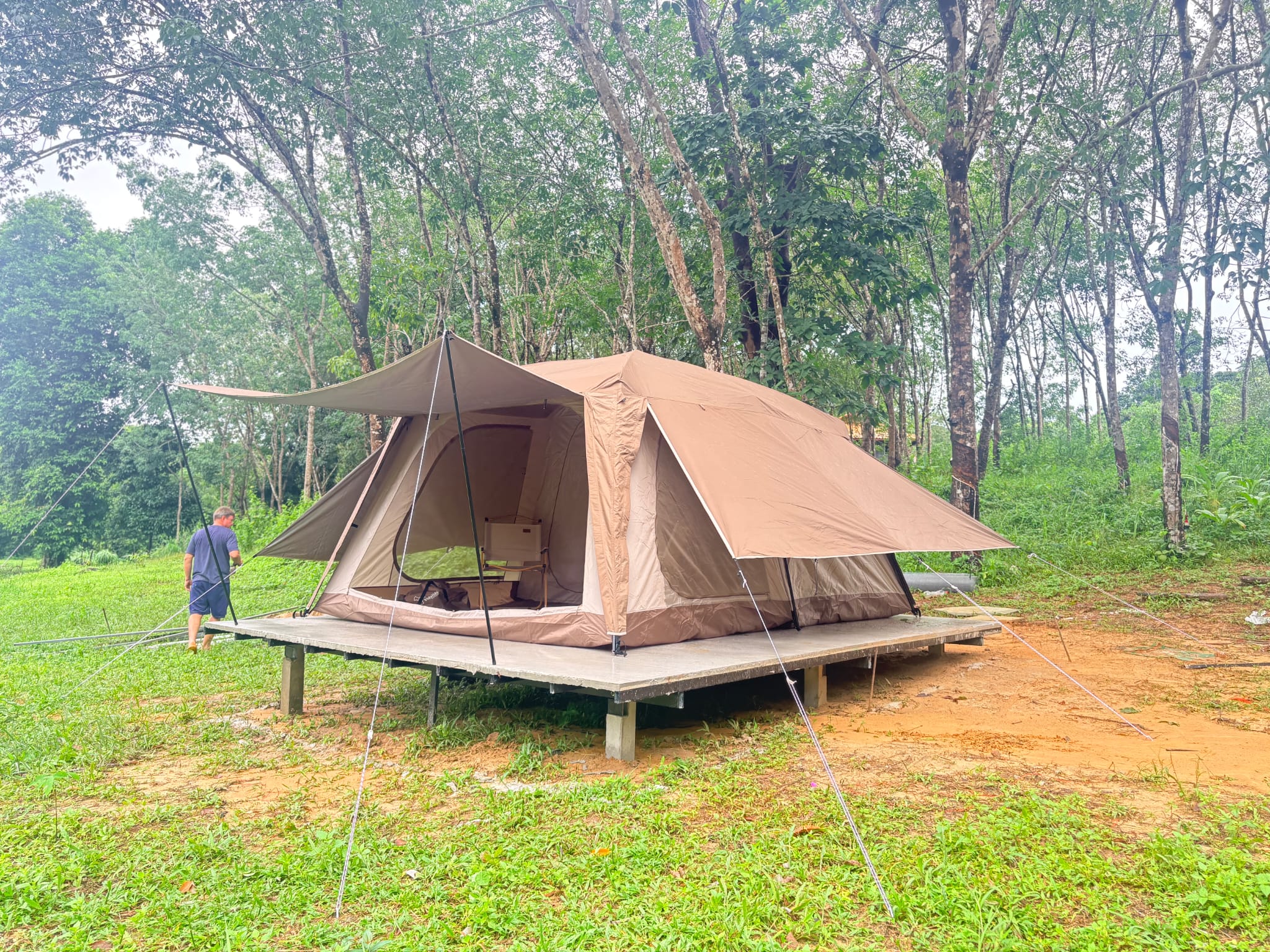 The first tent is finished: a canvas dome tent with a porch awning on a raised deck on concrete posts in a clearing among rubber trees