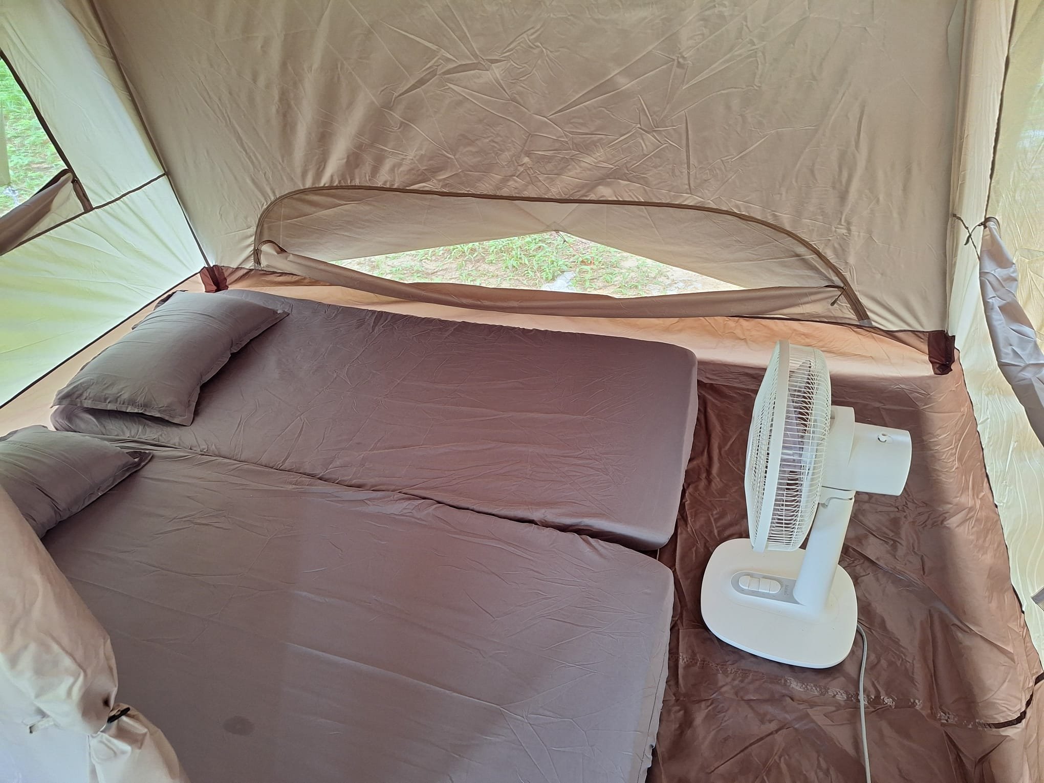 Inside the furnished tent: two made-up mattresses with pillows and an electric fan beside a mesh window looking out onto grass
