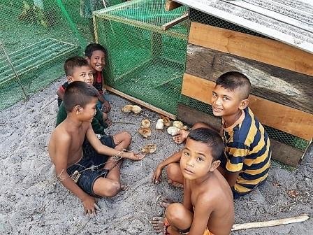 Boys tending a clutch of young chicks beside the chicken coop