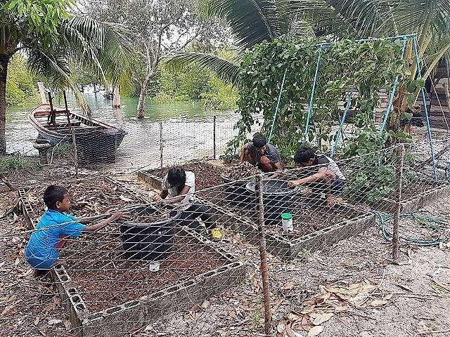 The flooded garden and chicken run after the storm hit the island home