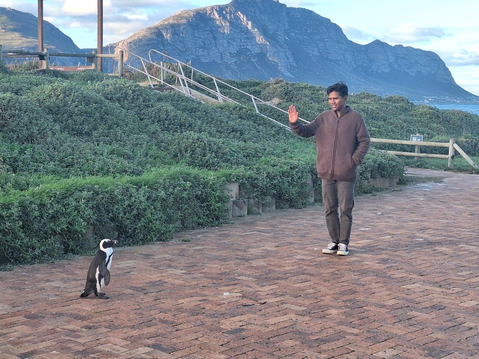 Wud waving at an African penguin on a brick path by the sea, with mountains behind