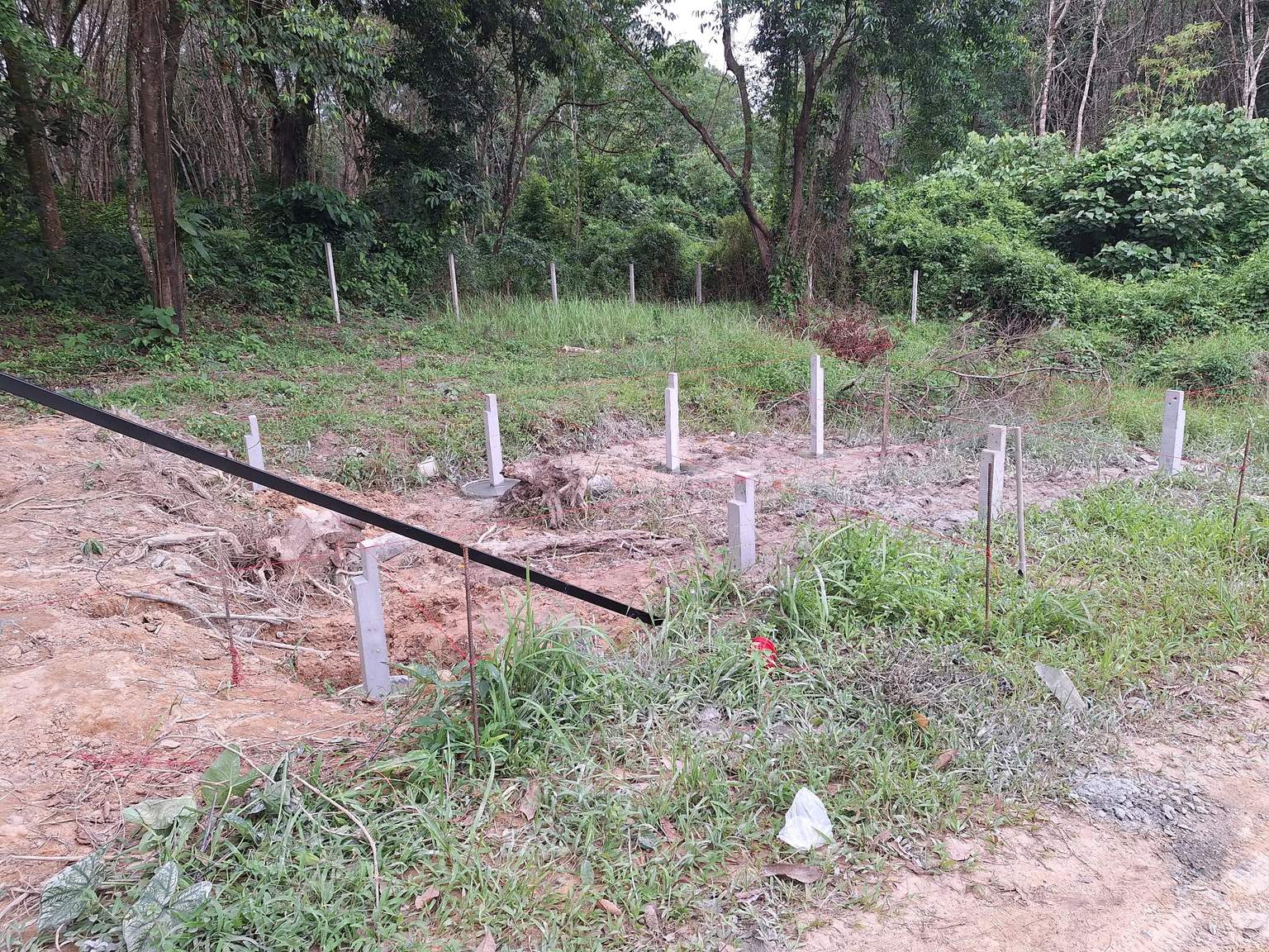 A cleared building site with a grid of concrete footing posts set in the ground and a string line, bordered by trees and a fence